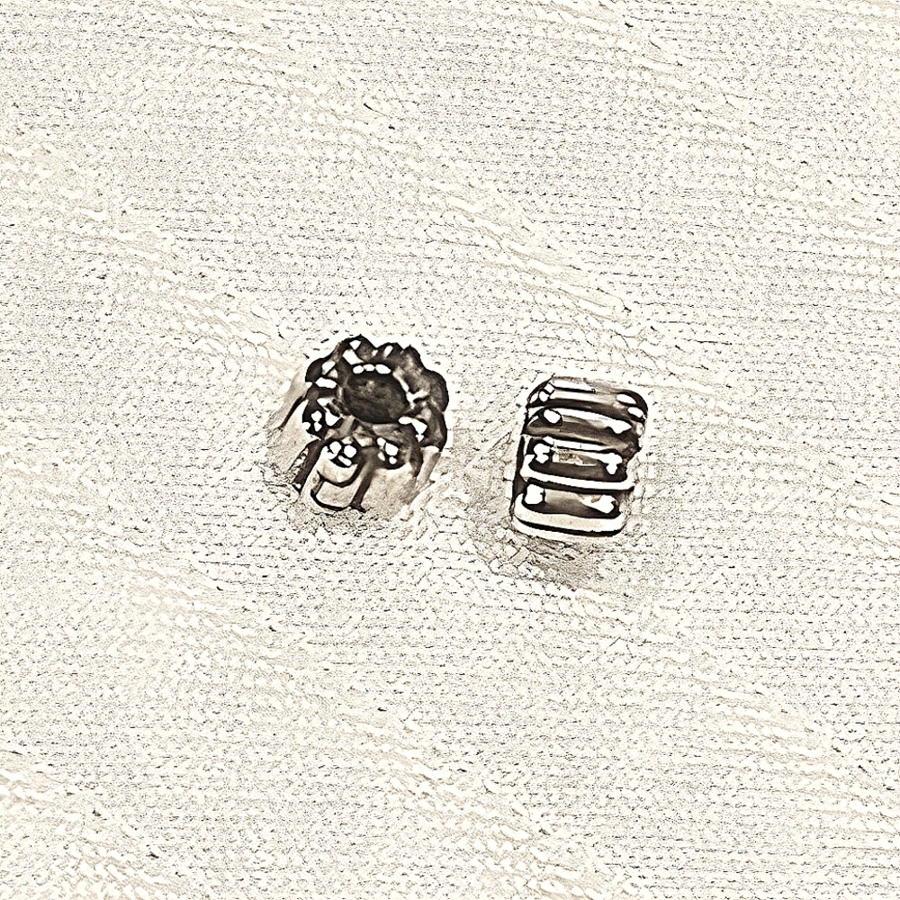 Pandora Spacer Charms